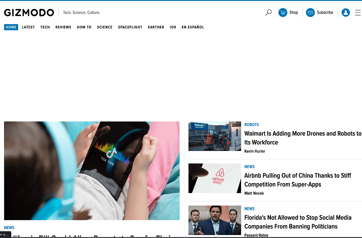 A screen shot of the gramoo wordpress theme.