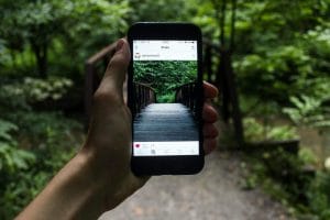 A person showcasing a forest picture on their cell phone, seeking guidance on adding "blogger" to their Instagram bio.