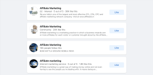 A screenshot of the affiliate marketing dashboard showcasing Facebook earnings.